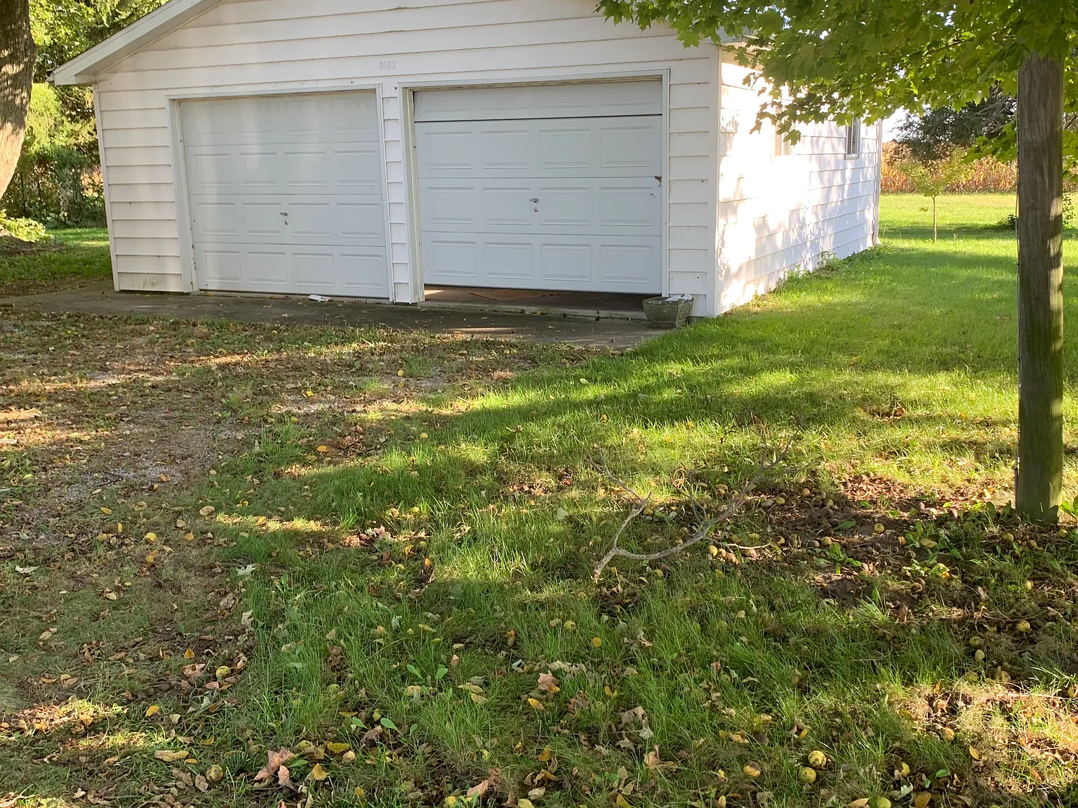 3 bed, 1100 sqft, $1,275 — Photo 4