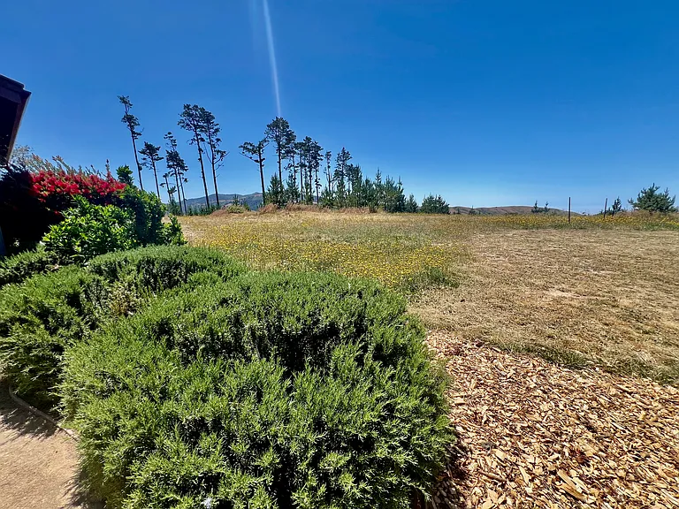 300 Corona Rd — Photo 36