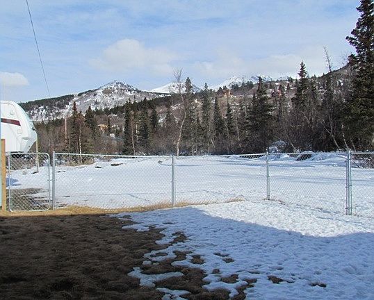 Fenced back yard