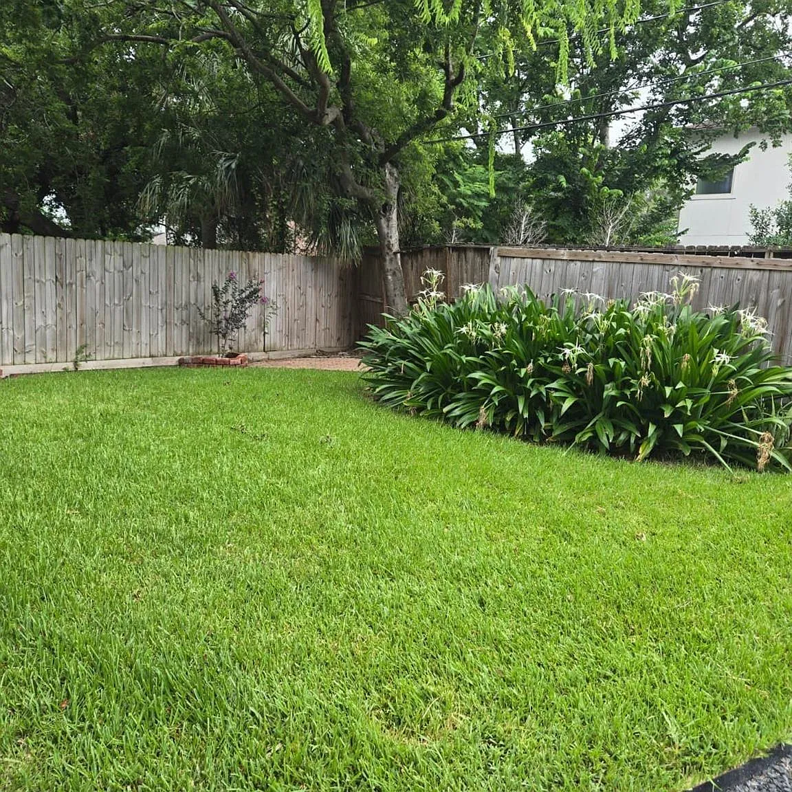 3 bed, 2.0 bath, 1510 sqft, $3,900 — Photo 3