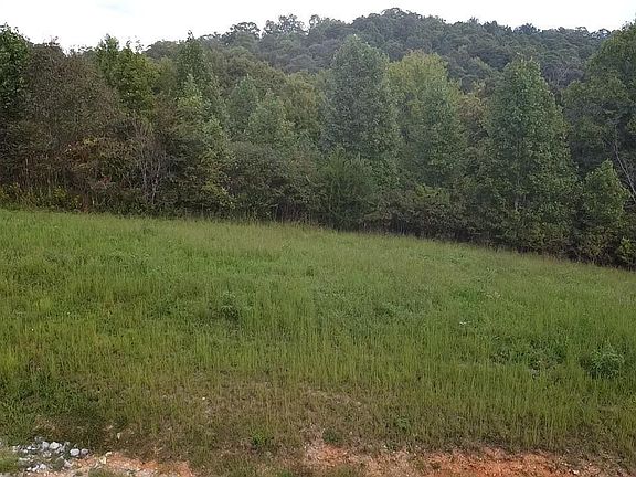 2nd image of 524 Cedar Gate Ln Lot 524