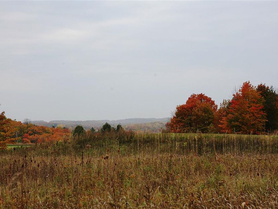 2nd image of 240 Crooked Tree Dr