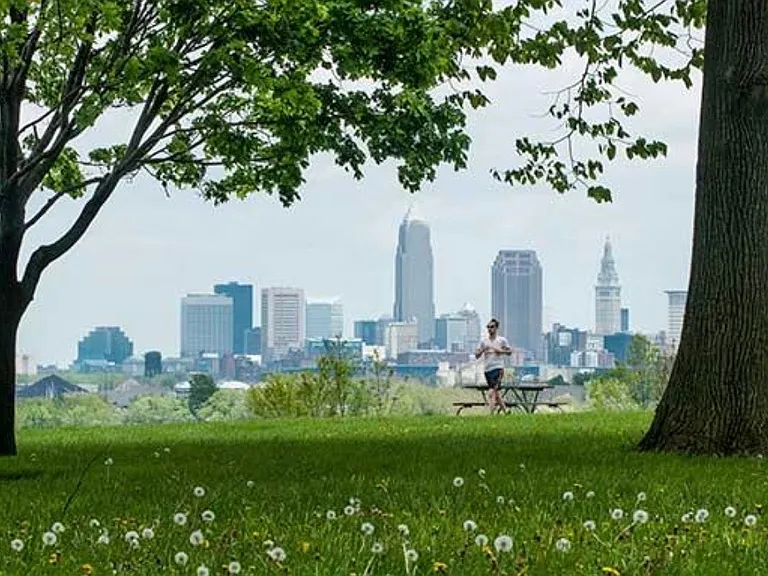 City view from park