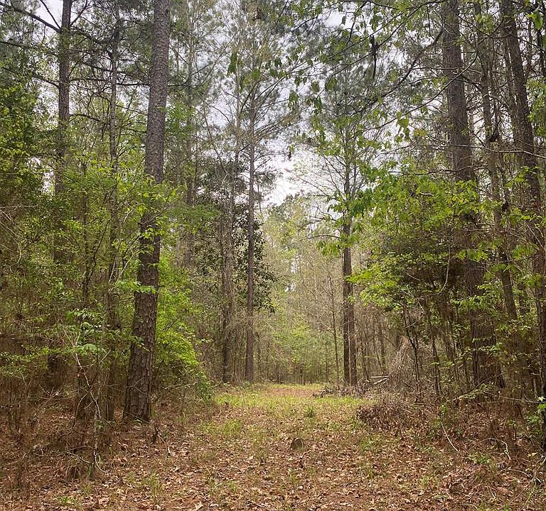 3989 Temple Rd N, Pineland, TX 75968 MLS 71812 Zillow