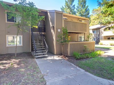 3397 Foxtail Ter, Fremont, CA, 94536