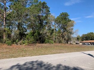 10198 Elgin Blvd, Spring Hill, FL 34608