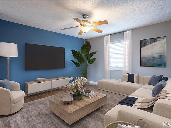 3rd image of 11133 Mapaville Hematite Rd