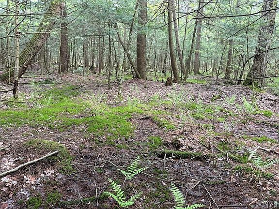 3rd image of Kellogg Hill Rd