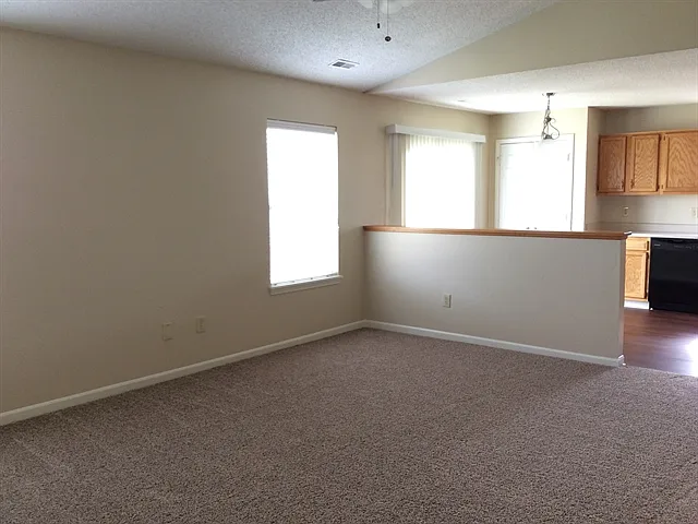 10313 Cerulean Dr — Photo 4
