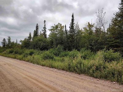 Sec 21 Co Rd #N415, Mc Millan, MI, 49853