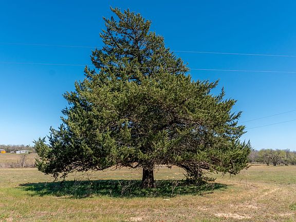 Owner Financed Land near Harwood, TX | Texas Land For Sale