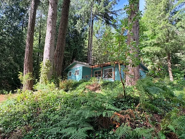 2 bed, 1.0 bath, 828 sqft, $2,350 — Photo 2
