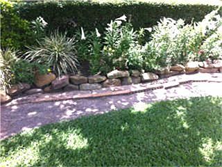 More of the Landscaping
