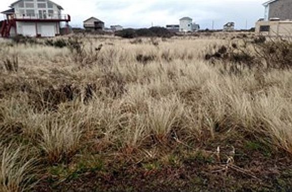 2nd image of 1417 Sand Pebble Ave SW