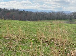 86 Green Dr, Blue Ridge, GA 30513