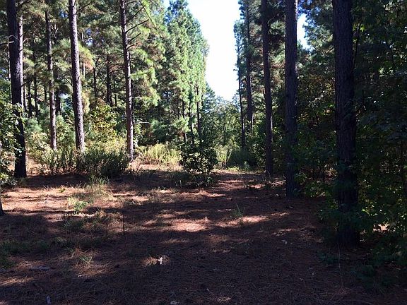 5th image of 4662 County Road 3108