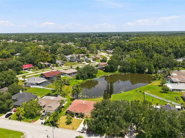 23427 PINE LAKE STREET, LAND O LAKES, FL 34639