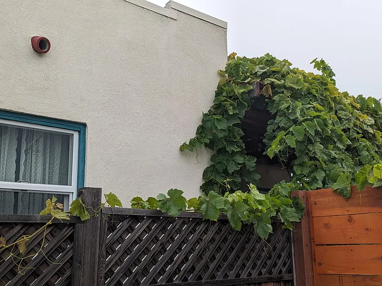 3827 Madison Ave — Photo 17