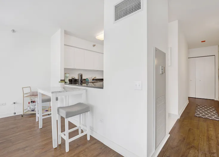 512 N McClurg Ct #1108 — Photo 8