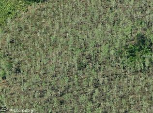 251 Dill Rd, Orlando, FL 32820