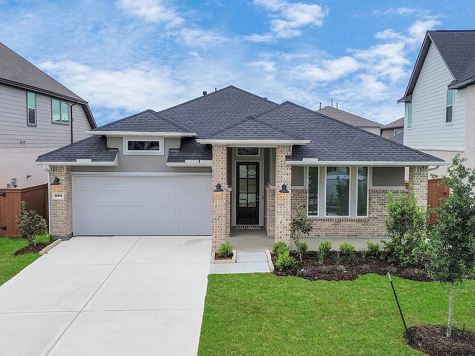 24910 Water Birch