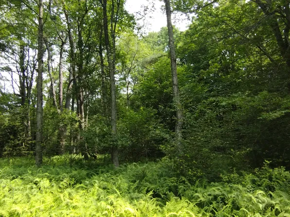 Robyn Ln, Pocono Lake, PA 18347