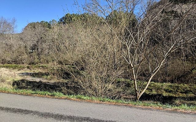 2nd image of 559 Postelle Rd