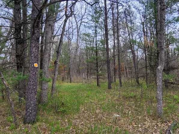 0 N M 37, Baldwin, MI 49304