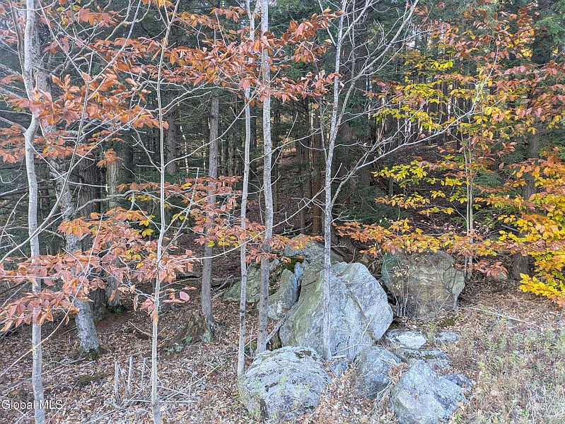 4th image of 443 Lake Desolation Road