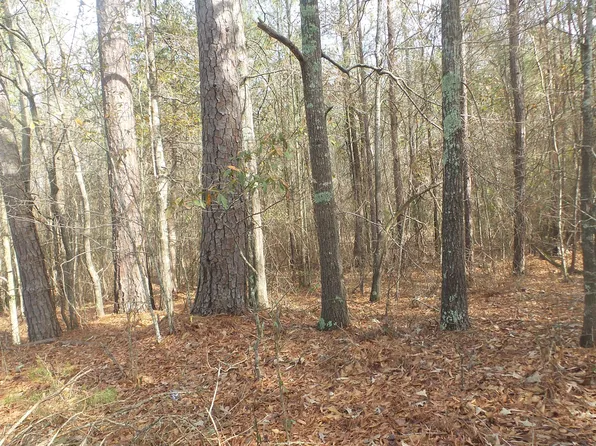 0 Watson St Ext, Lincolnton, GA
