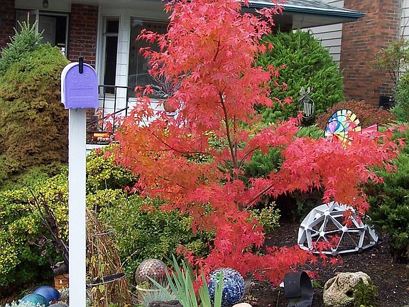 fall on the 2 bedroom side