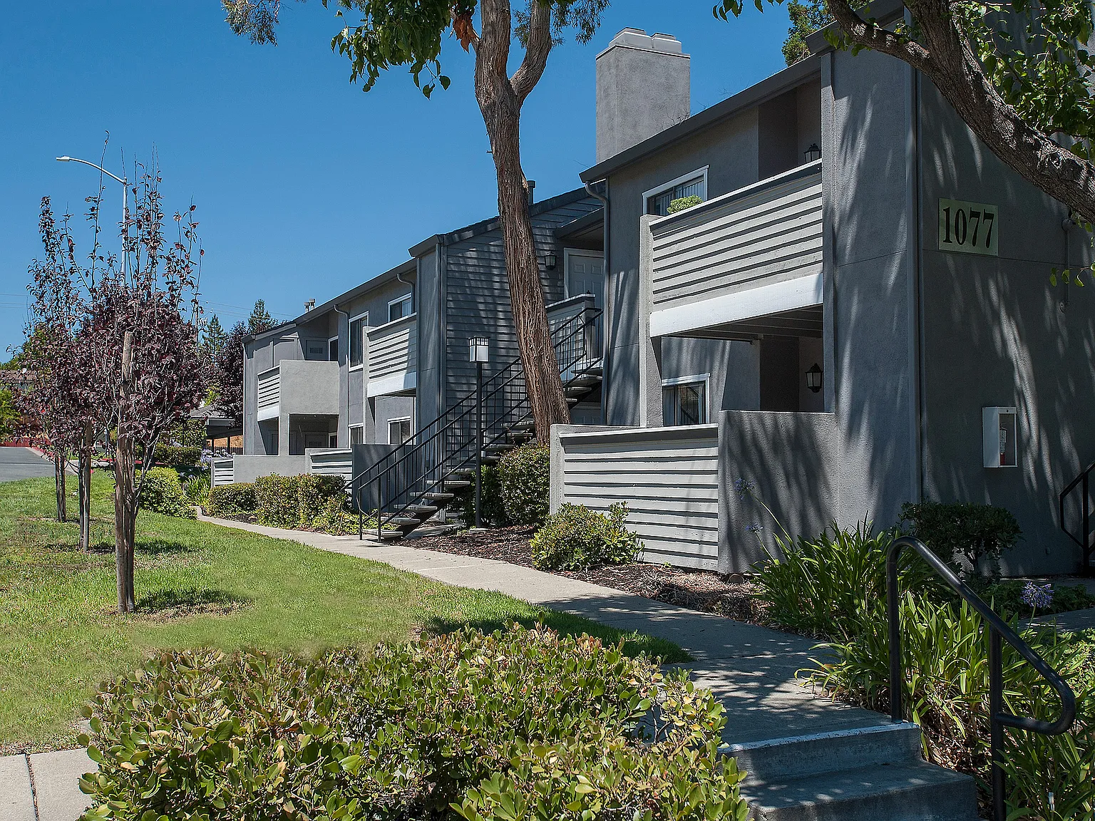 Plum Tree Apartments — Photo 2