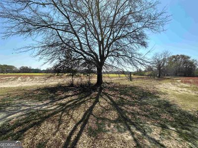 0 Seaborn Vickery & Akins Pond Rd TRACT 4, Statesboro, GA, 30461