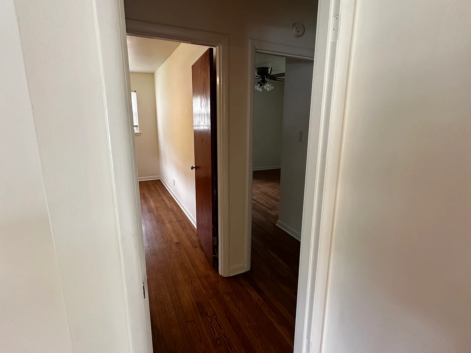 1229 Northern Hills Rd — Photo 4
