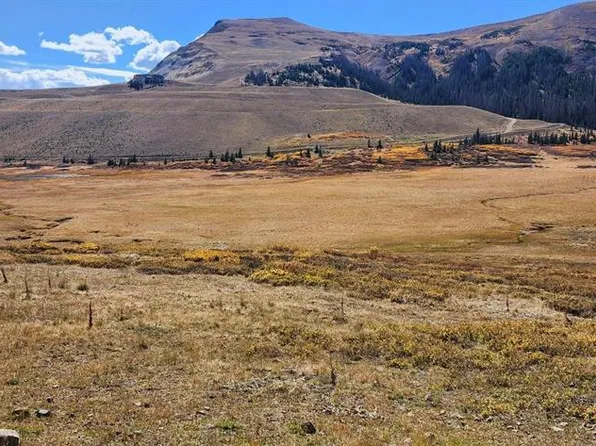 TBD Forest Service Road 330, South Fork, CO 81154