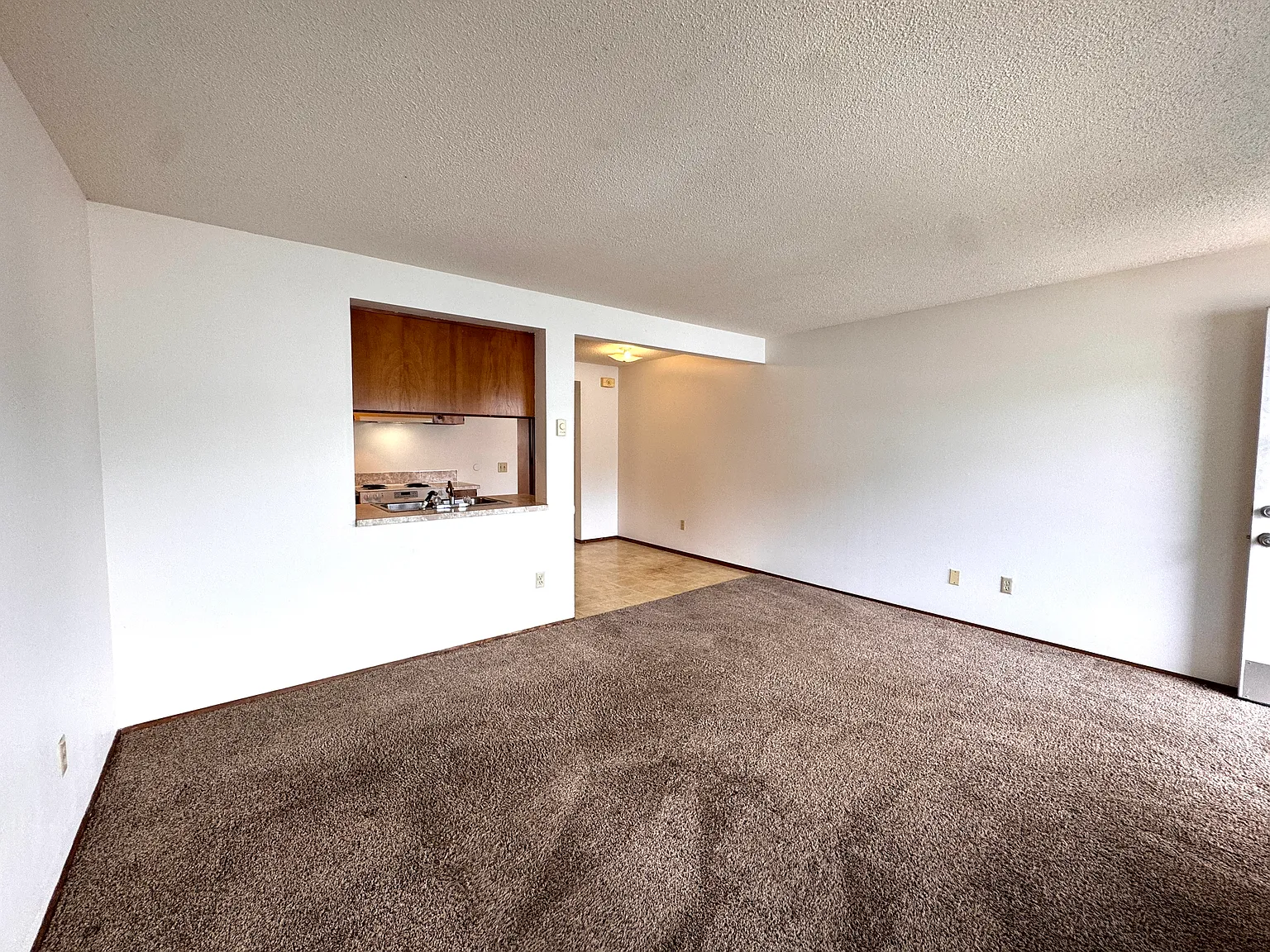 1 bed, 540 sqft, $1,250 — Photo 4