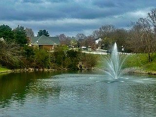 3rd image of 142 Ridgeview Trce