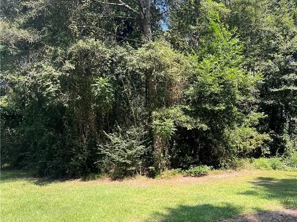 LOT 1 China St, Angie, LA 70426