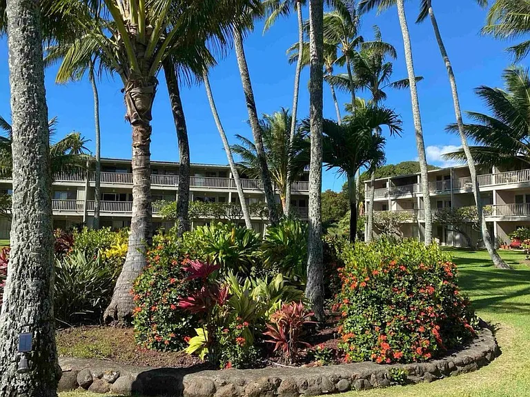 7146 Kamehameha V Hwy #A111 — Photo 6