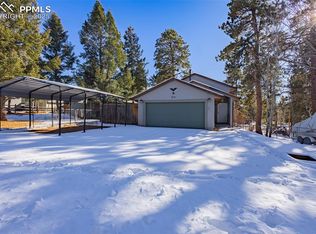 315 E Gunnison Ave, Woodland Park, CO 80863