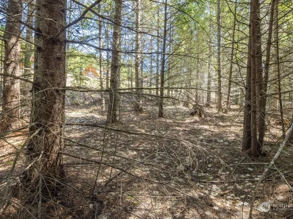 6 Paintbrush Lane, Ronald, WA 98940