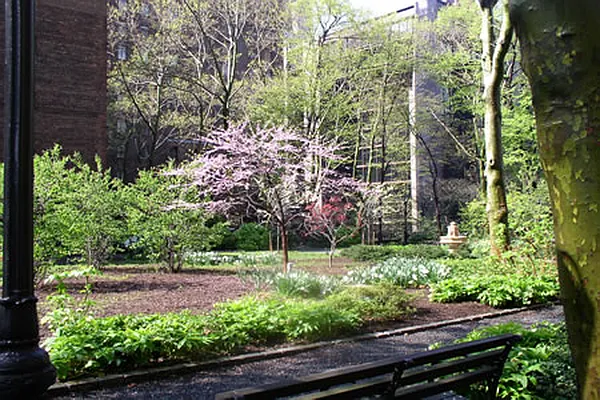 Rented by Steven Corcoran Real Estate | media 9