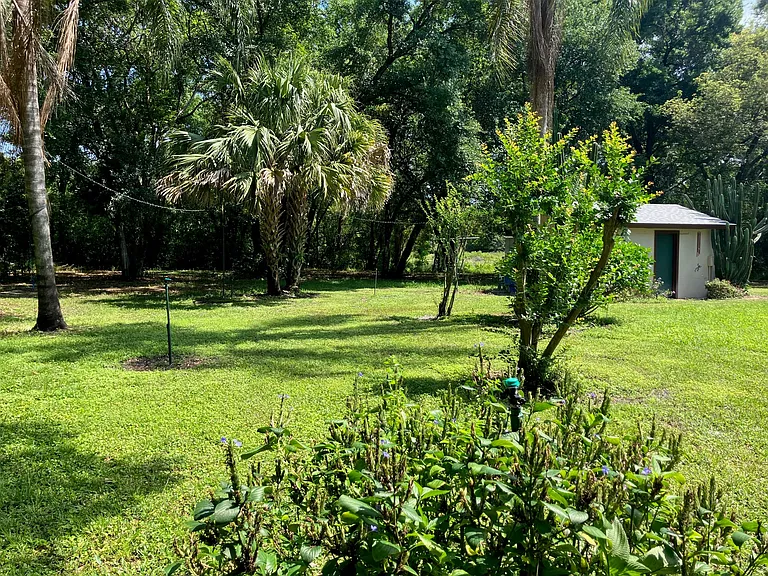 Back yard -- remember all yard care included.