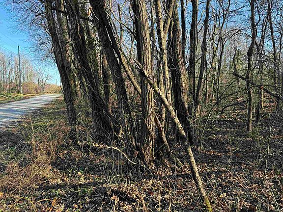5th image of 1 E County Road 550 N