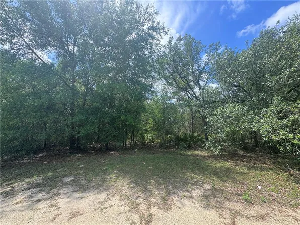 11548 NE 62nd Ln Lot 3, Williston, FL 32696