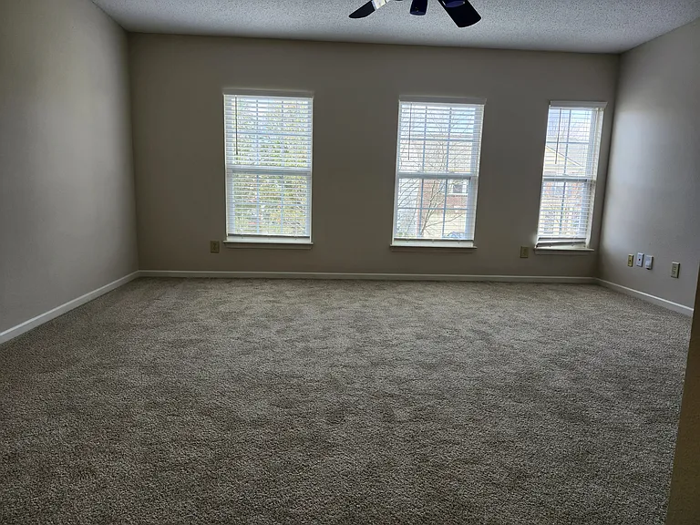 5805 Amber Ln — Photo 15