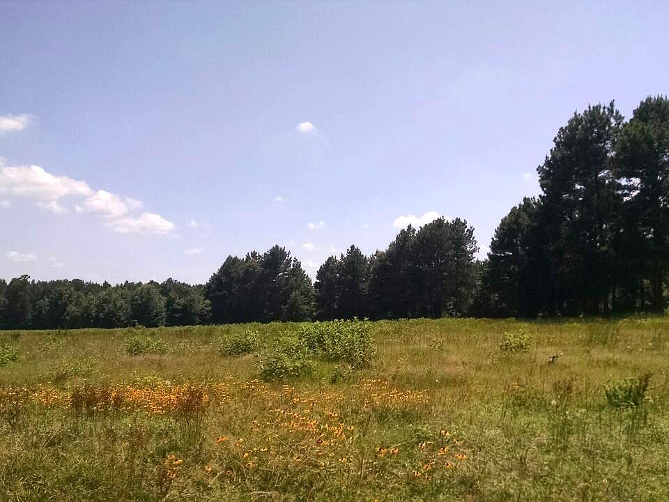 2nd image of Tbd Hwy 77 Tract #16