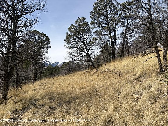 4th image of 12 Encino Rd