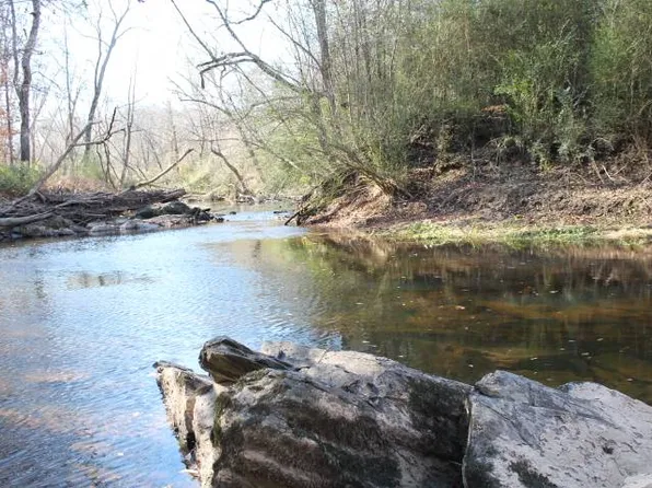 Mabe Rd, Star, NC 27356