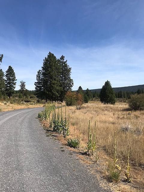 2nd image of Oregon Shores Dr Lot 24